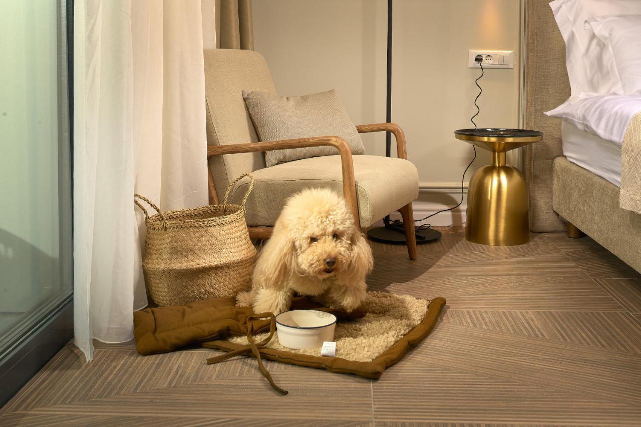 Luxury Apartments Villa Mala Split Dış mekan fotoğraf